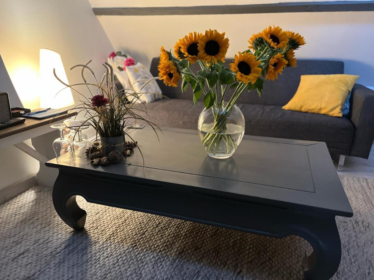 Maison 4 Personnes Tout Confort Alentours Boulogne Sur Mer Samer Exteriör bild